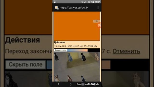 72 год на CatWar'e. Транзи нападет? смотреть онлайн