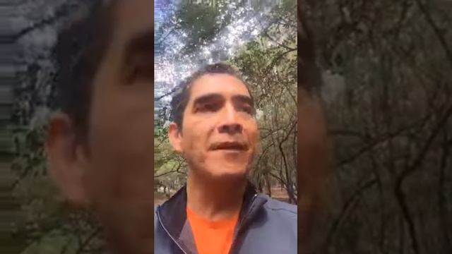 Testimonio: Ponte en forma a los 50 смотреть онлайн