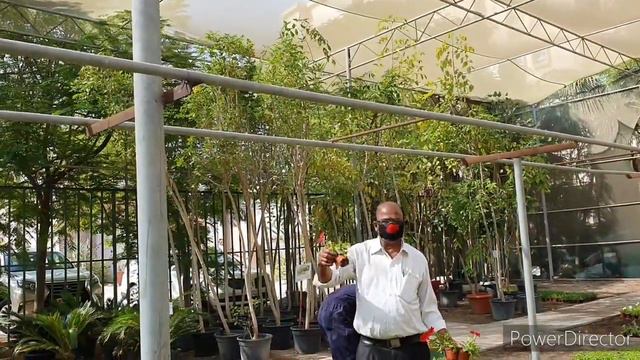 GARDENING FOR HEALTH & WEALTH