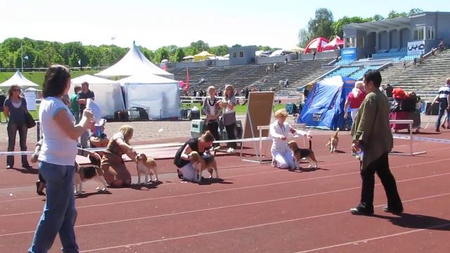 2011 06 04 CACIB Winner'2011, Tallin, Estonia, Junior bitches MVI_2158.MOV смотреть онлайн