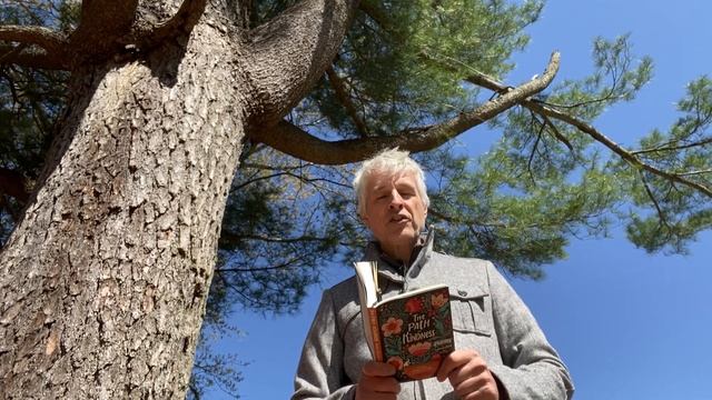 Poetry Passages 117: "My Daughter Meets My White Pine" by Tricia Knoll (for Arbor Day) смотреть онлайн