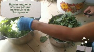 Гидролат в домашних условиях без оборудования