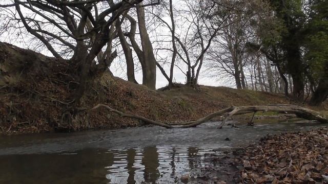 РЕКА БЕЛЬБЕК СЕВАСТОПОЛЬ СЕЛО ДАЛЬНЕЕ 31 12 2020 смотреть онлайн