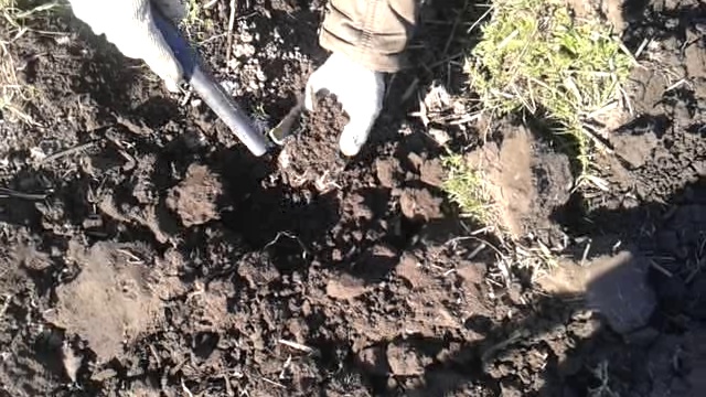 video-2017-05-13-07-25-46 смотреть онлайн