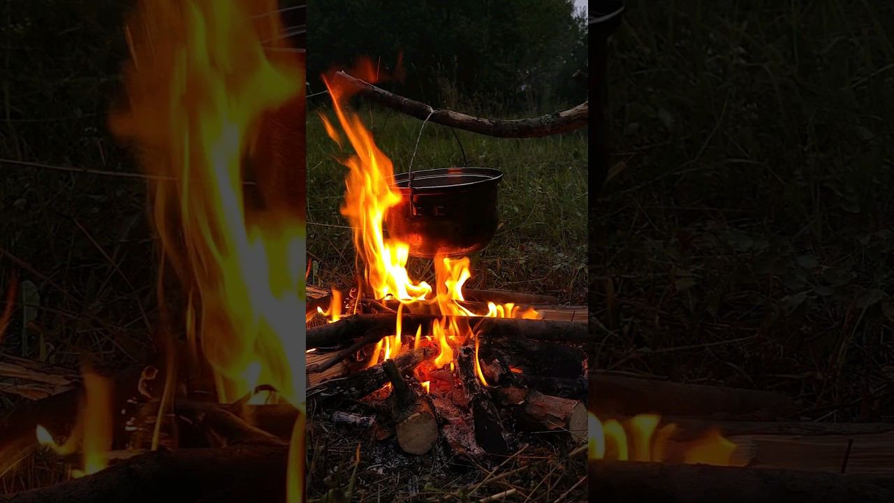 ПОДВЕС ДЛЯ КОСТРА ИЗ ВЕТКИ с помощью ножа #ножи #бушкрафт #костёр смотреть онлайн