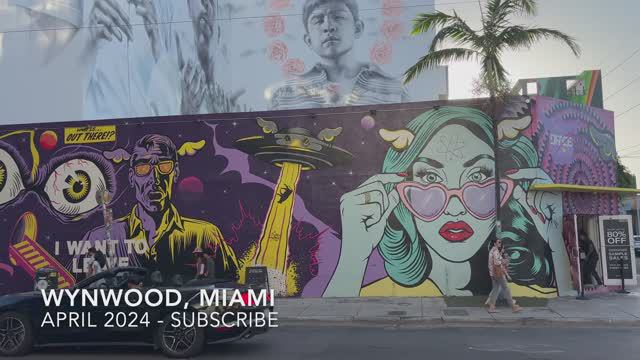 🌴 Miami Walking Tour - Wynwood