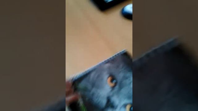 Мой дневник ( как создать свой собственный дневник)/Странное видио смотреть онлайн