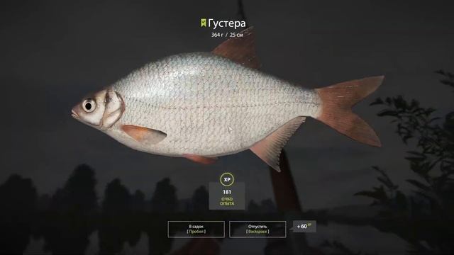 Густера на Белой / Со дна Русской рыбалки. ( Russian Fishing 4/Русская рыбалка 4 ) смотреть онлайн