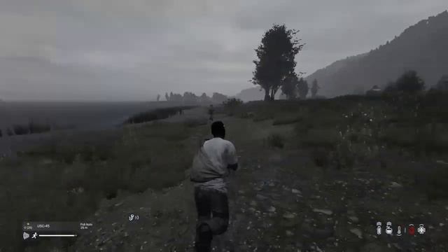 Dayz ps4 Racism Mass shooting in kamy official server 0006 смотреть онлайн