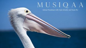Adrian Freedman with Ayla Schafer and Susie Ro ⋄ Astral Dawn