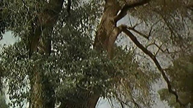 НЕ ДЛЯ МЕНЯ - ТИХИЙ ДОН смотреть онлайн