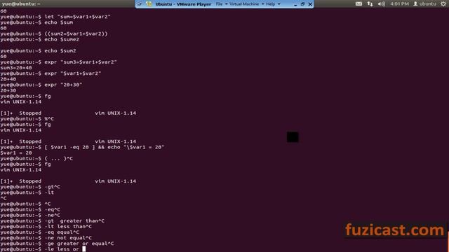 SHELL-1.1 Shell Script Introduction and Basics (Video Tutorial) смотреть онлайн