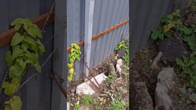 У забора покосились столбы. Забор завалился.Что делать? смотреть онлайн