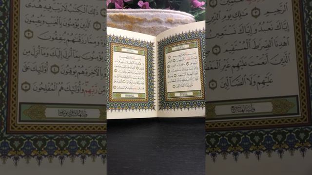 РУК'ИЯ РУКЪЯ РУКИЯ ЧТЕЦ АРСЛАНБЕК T.me/antidjeensihr