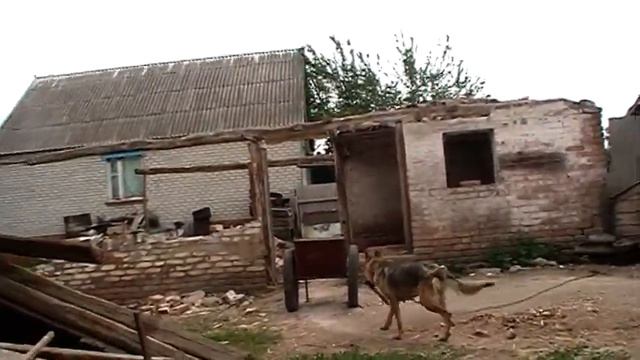 Куда пропали, чем занимались, поезд тронулся. смотреть онлайн