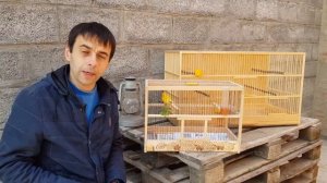 Надо ли канареек выпускать летать по комнате?А может клетку побольше и забить фанерой!!!