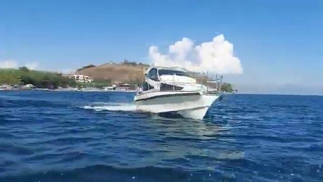 катер  аист