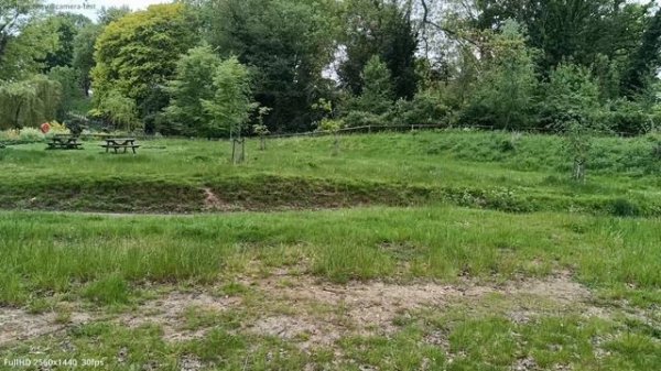 Oukitel WP21 - Video Camera Test (FullHD 2560x1440 | 30fps)