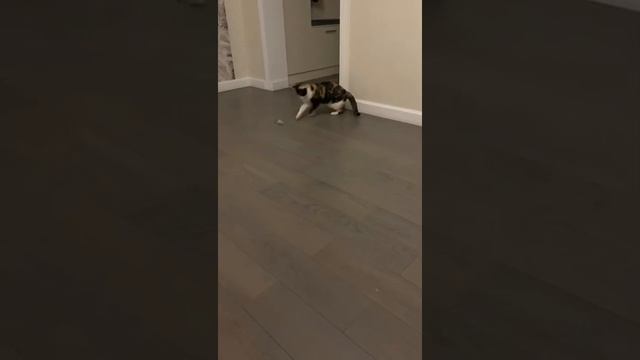 Охра дома 1 смотреть онлайн