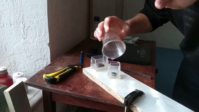 жуки в эпоксидной смоле смотреть онлайн