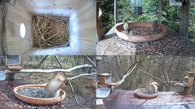 Онлайн-трансляция  - 2020.   20.04.2020 г.. Город Калуга