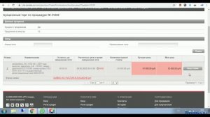 Как проходит аукцион по приватизации муниципального имущества в электронном виде на РТС ТЕНДЕР