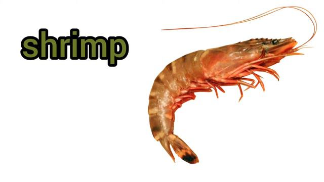 How to Pronounce Shrimp in American English смотреть онлайн