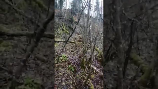 Река Сестра #Карельский перешеек смотреть онлайн