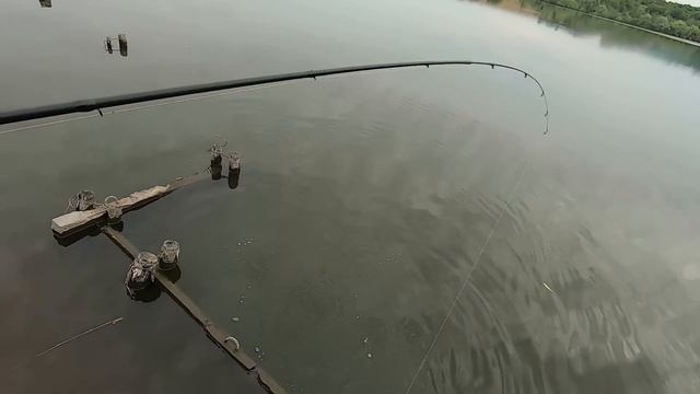 ЛОВЛЯ КАРПА на ФЛЭТ ФИДЕР.Рыбалка с семьей. смотреть онлайн