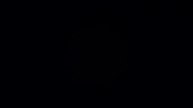 Г. Кайзер. Этюд для скрипки D - Dur