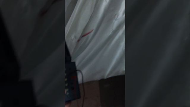 Проверка наличия металлосвязи смотреть онлайн