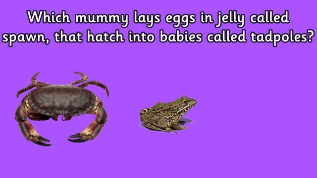 MOTHER'S DAY QUIZ For Kids With Miss Ellis #mothersday