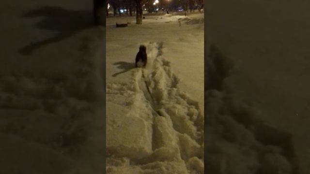 Веолар Рэмми 3, 5 месяцев смотреть онлайн