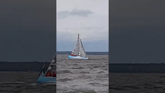ЧемпСПб2020, 12.09.2020, с яхты ARIEL RUS957, 25 смотреть онлайн