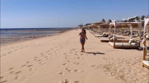 BARON RESORT 5* Sharm el Sheikh (Египет) - ОБЗОР ОТЕЛЯ, ЕДА, ПЛЯЖ, СНОРКЛИНГ |  ПЛЮСЫ и МИНУСЫ