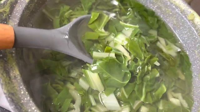 Шоу и Концерты