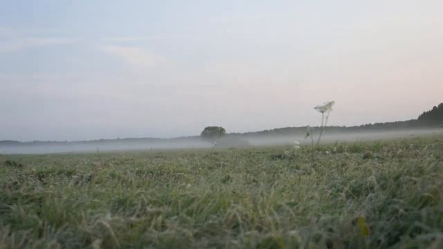 Spirit of Adventure. September 2020. смотреть онлайн