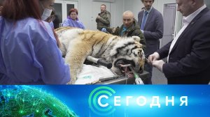 «Сегодня»: 6 марта 2023 года. 13:00 | Выпуск новостей | Новости НТВ