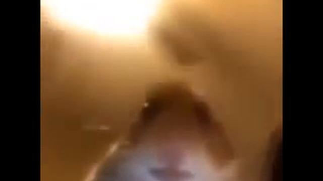 хомяк смотрит в камеру 10 часов смотреть онлайн