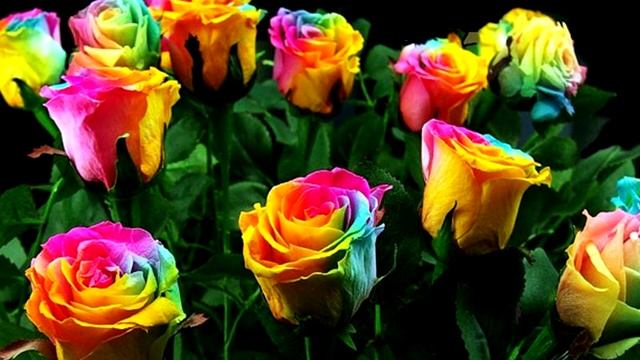 Фото самых красивых и редких цветов нашей планеты