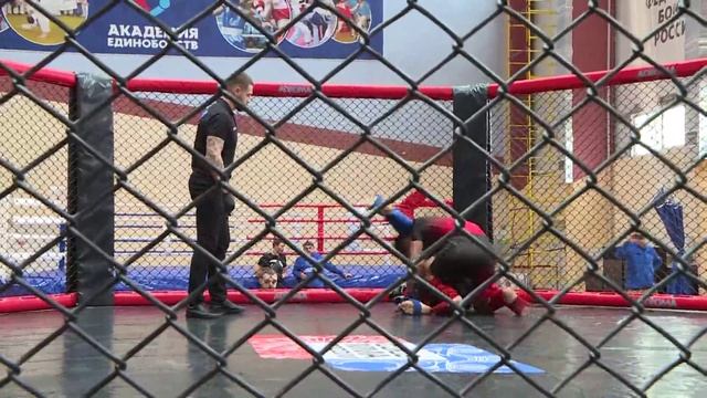 Межрегиональный турнир по ММА прошел в Рязани смотреть онлайн