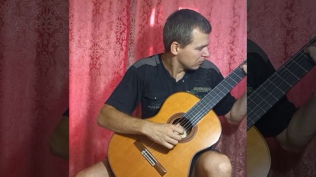 154. М. Джулиани / Этюд / исполняет Вячеслав Замчалкин смотреть онлайн
