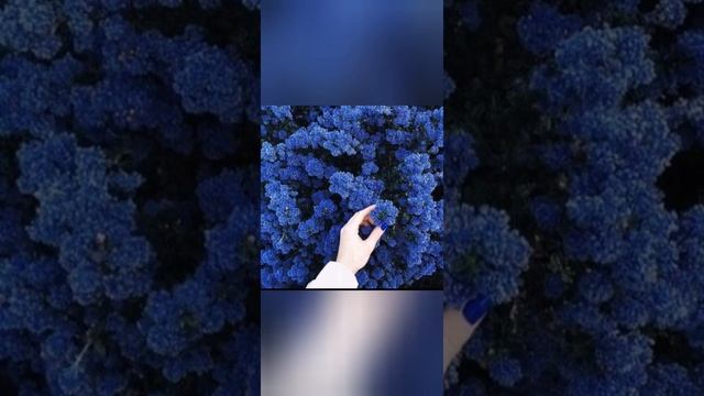 ❤️?️Красивые картинки?️❤️ смотреть онлайн