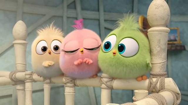 Angry Birds 2 | Baby birds funny movement | Comedy video | Animated film смотреть онлайн