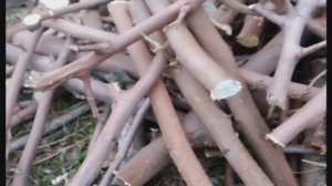 Измельчитель веток из фуганка + циркулярка.