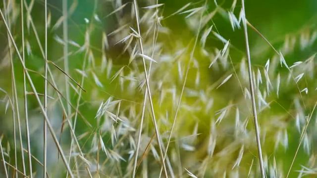 Убирание блоков и деструктивных программ при помощи техники "Нeо" смотреть онлайн