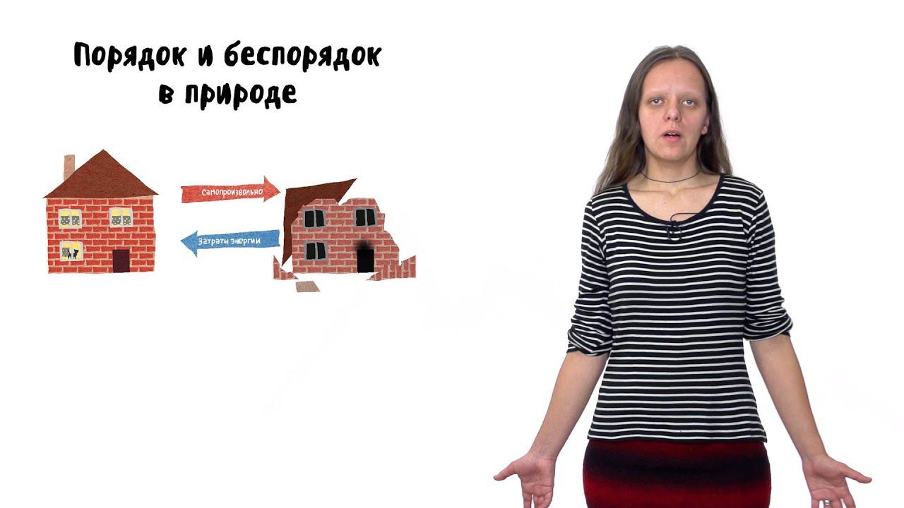 Клеточное дыхание. Лекция 1. Часть 1. Порядок, хаос и энергия смотреть онлайн