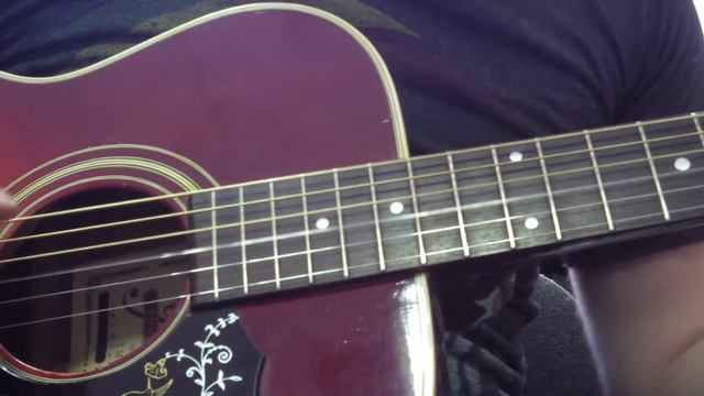 Thomas TM-200 Folk Guitar смотреть онлайн