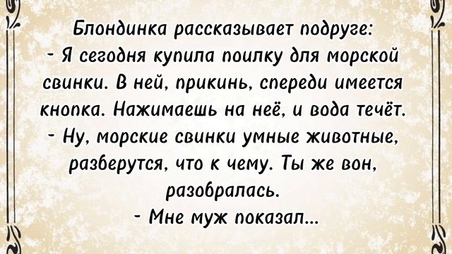 Сборник анекдотов! Анекдоты про жену и мужа! Смешные анекдоты до слез! Юмор дня! смотреть онлайн