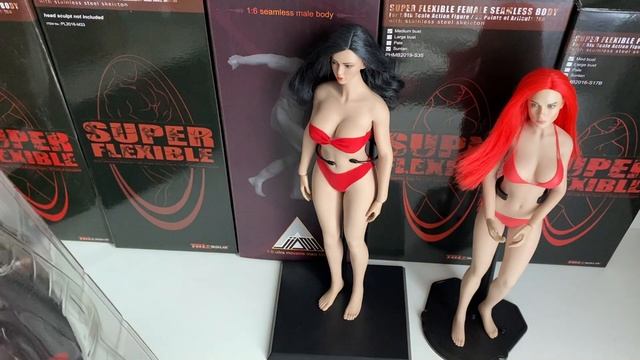 Обзор базовой TBLeague Phicen S43. Бесшовная кукла 1/6